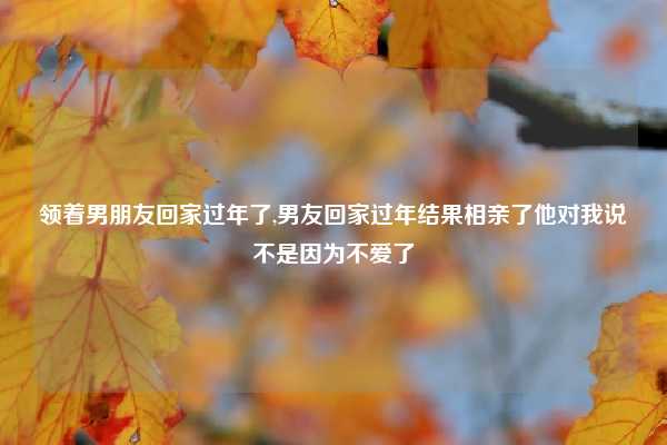 领着男朋友回家过年了,男友回家过年结果相亲了他对我说不是因为不爱了
