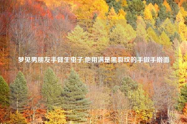 梦见男朋友手臂生虫子,他用满是黑裂纹的手做手擀面