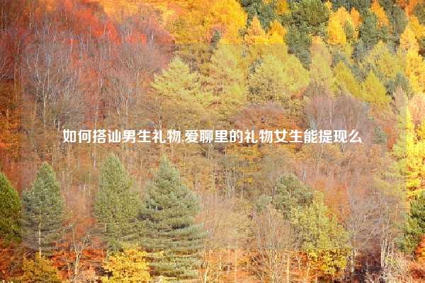 如何搭讪男生礼物,爱聊里的礼物女生能提现么