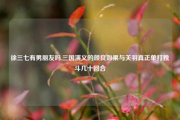 徐三七有男朋友吗,三国演义的颜良如果与关羽真正单打独斗几十回合