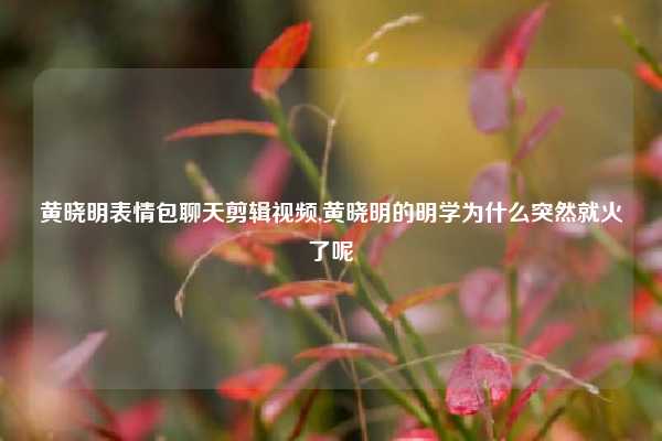 黄晓明表情包聊天剪辑视频,黄晓明的明学为什么突然就火了呢