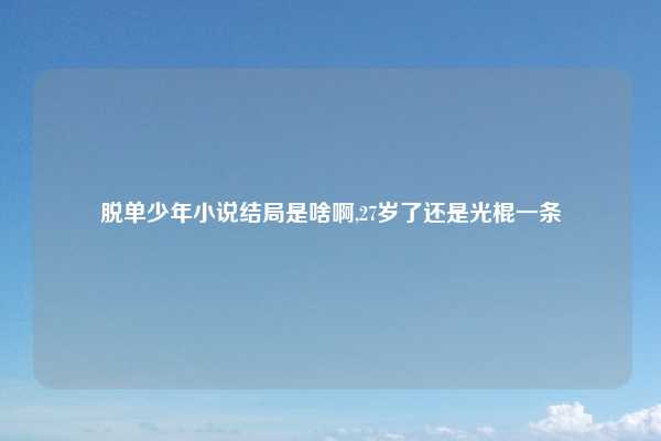 脱单少年小说结局是啥啊,27岁了还是光棍一条