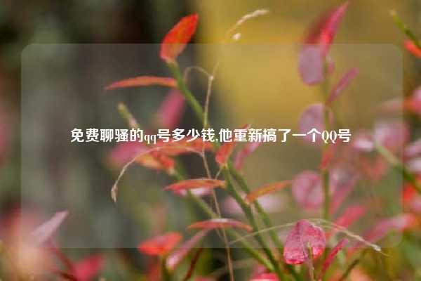 免费聊骚的qq号多少钱,他重新搞了一个QQ号