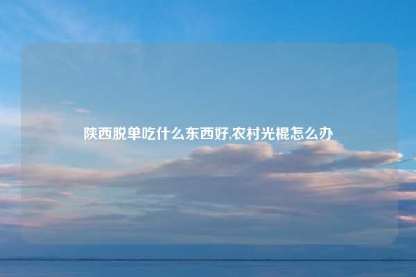 陕西脱单吃什么东西好,农村光棍怎么办