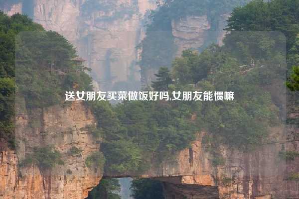 送女朋友买菜做饭好吗,女朋友能惯嘛