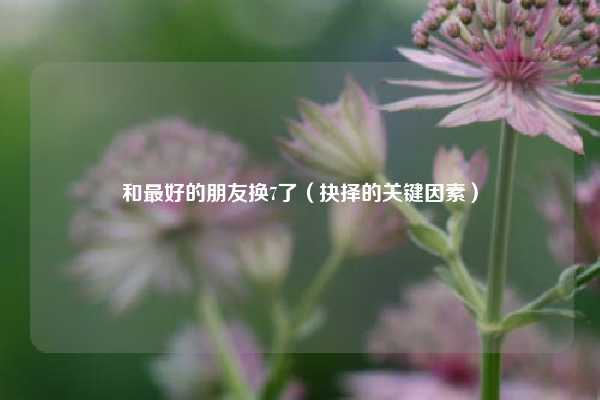和最好的朋友换7了（抉择的关键因素）