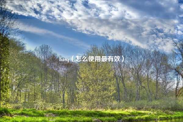 basq(怎么使用最有效)