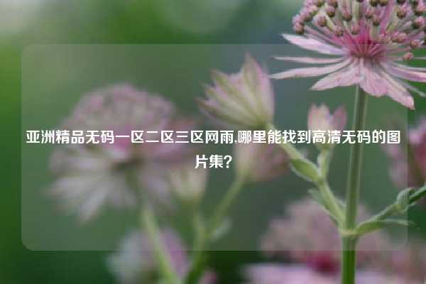 亚洲精品无码一区二区三区网雨,哪里能找到高清无码的图片集？