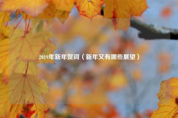 2019年新年贺词（新年又有哪些展望）