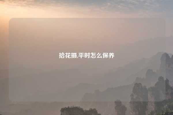 拾花摄,平时怎么保养