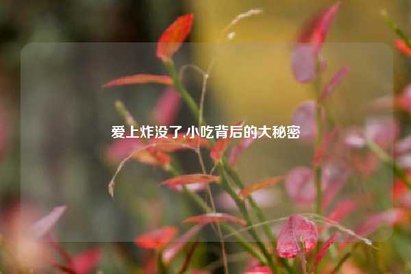 爱上炸没了,小吃背后的大秘密