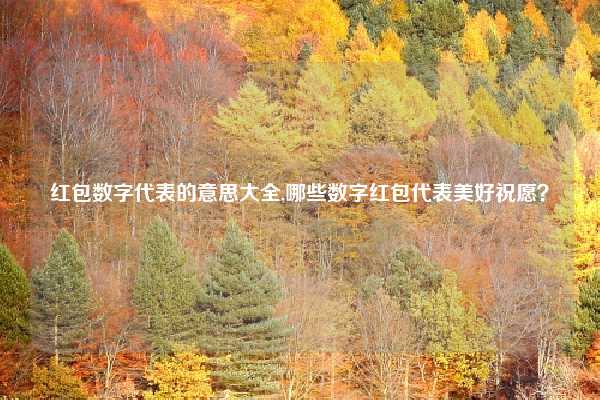 红包数字代表的意思大全,哪些数字红包代表美好祝愿?