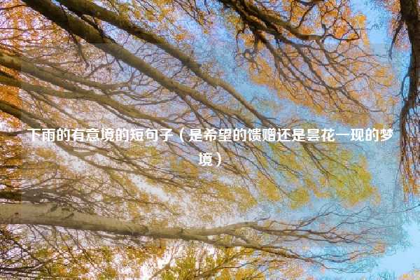 下雨的有意境的短句子（是希望的馈赠还是昙花一现的梦境）