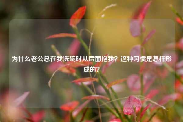 为什么老公总在我洗碗时从后面抱我?这种习惯是怎样形成的?