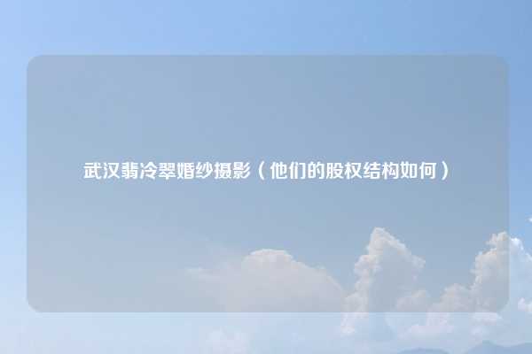 武汉翡冷翠婚纱摄影（他们的股权结构如何）