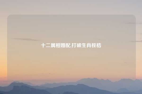 十二属相婚配,打破生肖桎梏