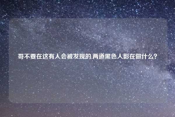 哥不要在这有人会被发现的,两道黑色人影在做什么？