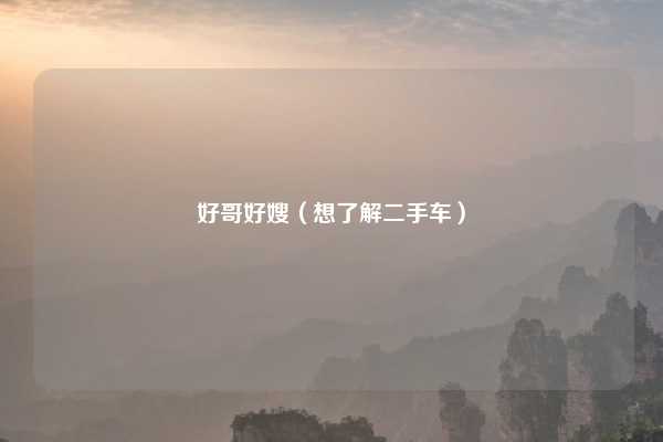 好哥好嫂(想了解二手车)