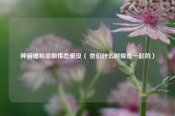 钟丽缇和梁朝伟恋爱没( 他们什么时候在一起的)