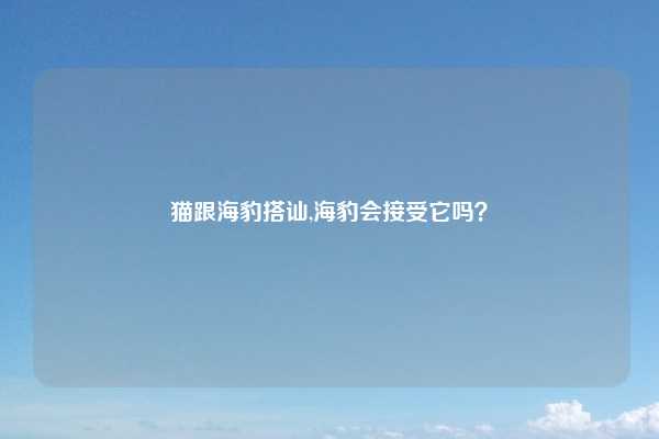 猫跟海豹搭讪,海豹会接受它吗？