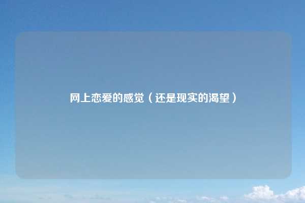网上恋爱的感觉(还是现实的渴望)
