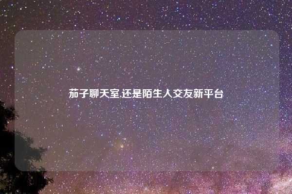 茄子聊天室,还是陌生人交友新平台