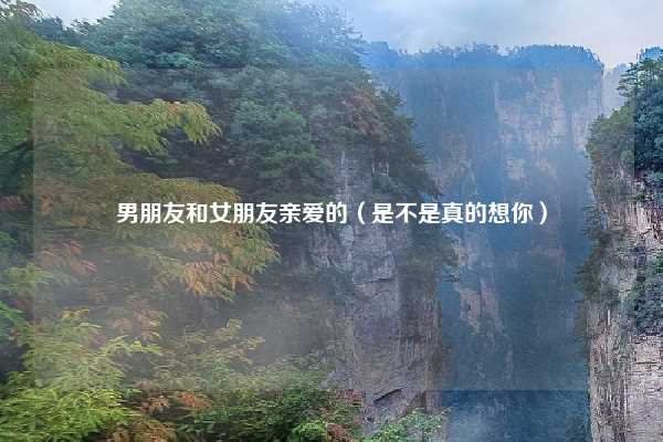 男朋友和女朋友亲爱的（是不是真的想你）