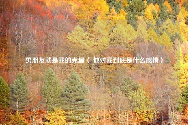 男朋友就是我的克星( 他对我到底是什么感情)