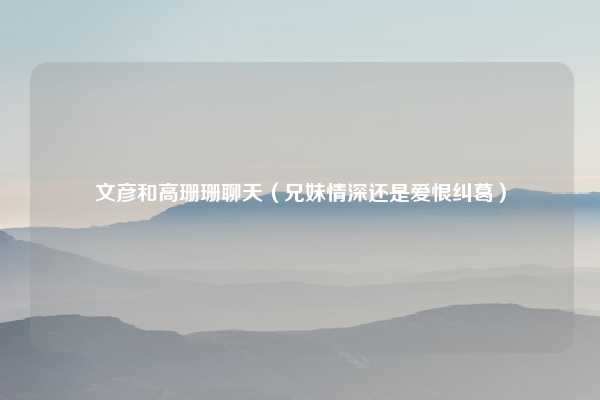文彦和高珊珊聊天（兄妹情深还是爱恨纠葛）