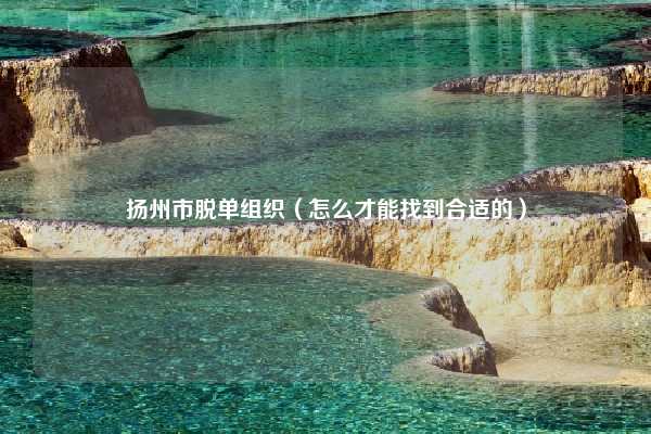 扬州市脱单组织(怎么才能找到合适的)