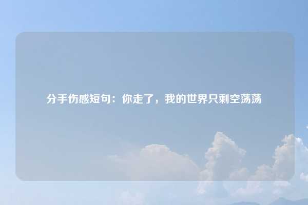 分手伤感短句:你走了,我的世界只剩空荡荡