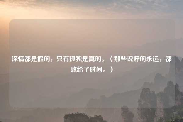 深情都是假的,只有孤独是真的。(那些说好的永远,都败给了时间。)