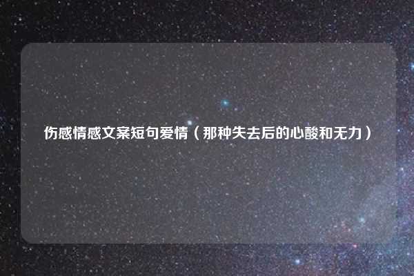 伤感情感文案短句爱情(那种失去后的心酸和无力)