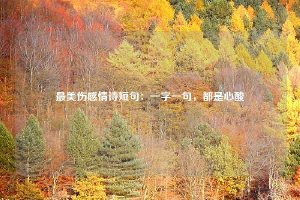 最美伤感情诗短句：一字一句，都是心酸