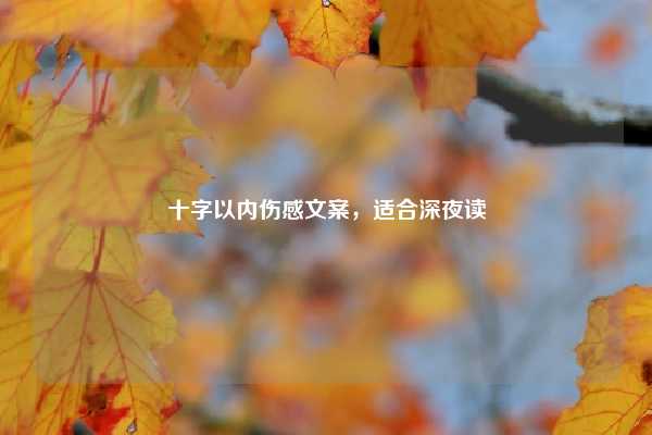 十字以内伤感文案,适合深夜读
