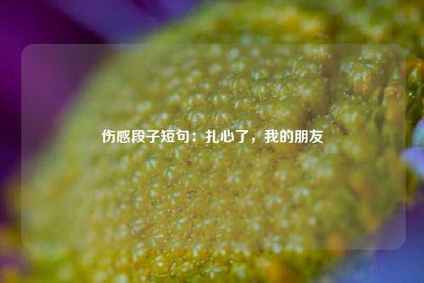 伤感段子短句:扎心了,我的朋友