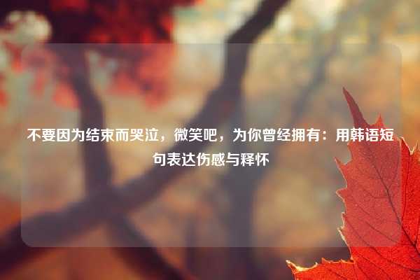 不要因为结束而哭泣,微笑吧,为你曾经拥有:用韩语短句表达伤感与释怀