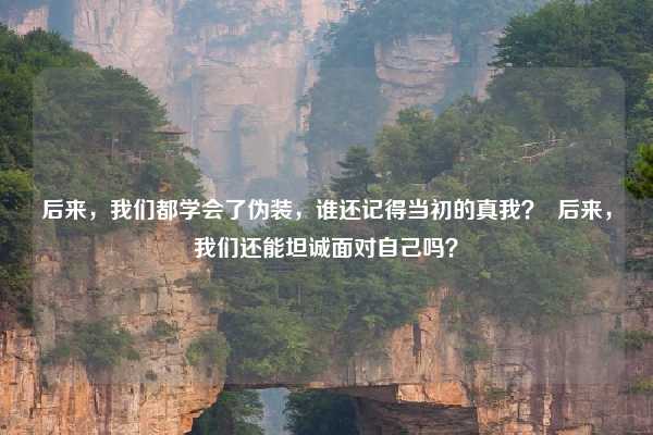 后来，我们都学会了伪装，谁还记得当初的真我？  后来，我们还能坦诚面对自己吗？