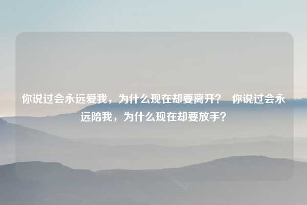 你说过会永远爱我，为什么现在却要离开？  你说过会永远陪我，为什么现在却要放手？