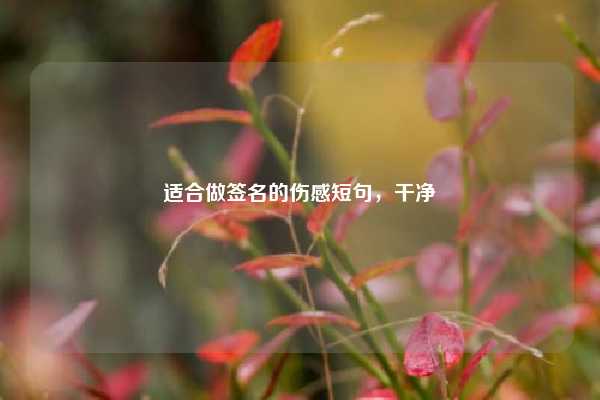 适合做签名的伤感短句，干净