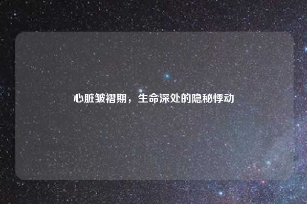 心脏皱褶期，生命深处的隐秘悸动