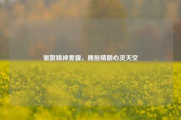 驱散精神雾霾,拥抱晴朗心灵天空