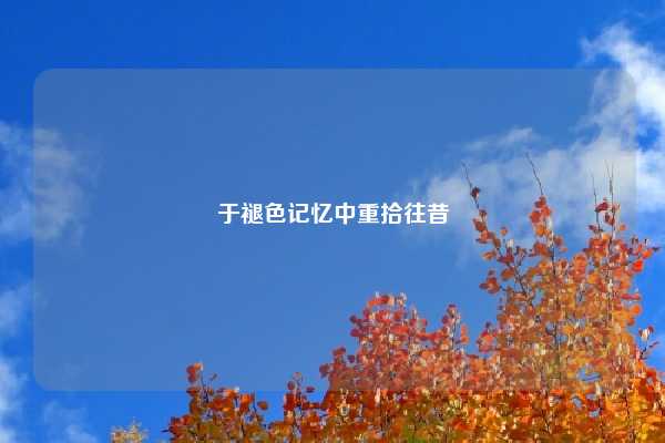于褪色记忆中重拾往昔