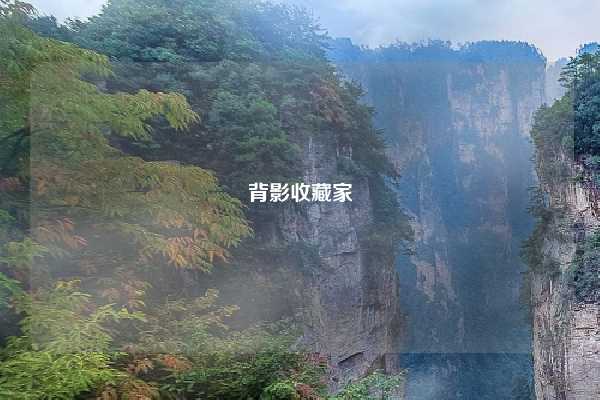 背影收藏家