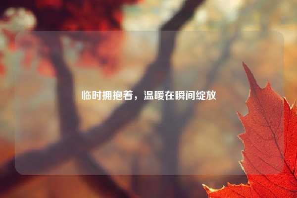 临时拥抱着,温暖在瞬间绽放