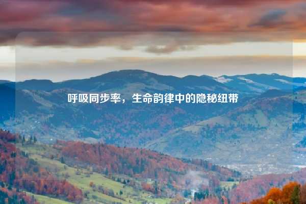 呼吸同步率,生命韵律中的隐秘纽带