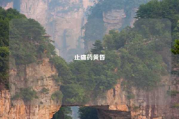 止痛药黄昏