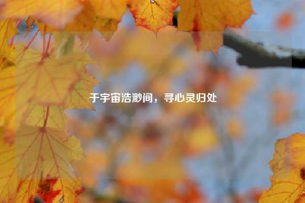 于宇宙浩渺间，寻心灵归处