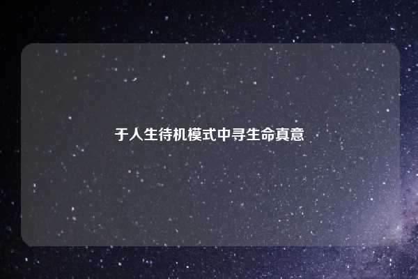 于人生待机模式中寻生命真意