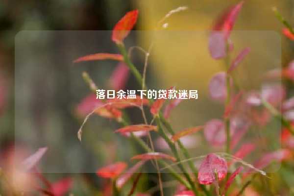 落日余温下的贷款迷局
